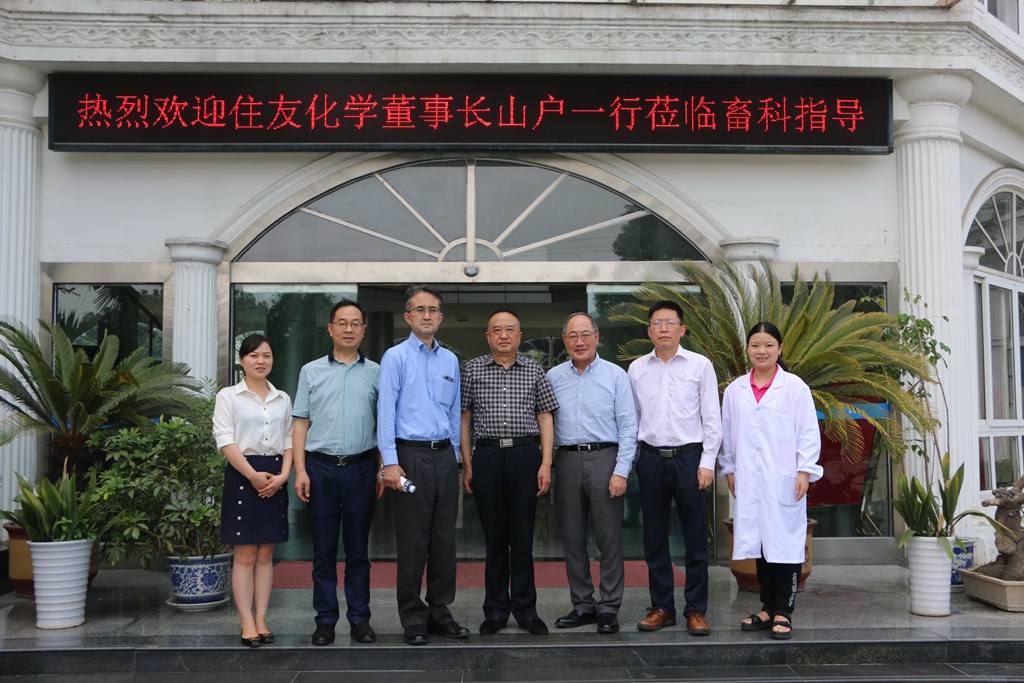 news06.jpg news06.jpg