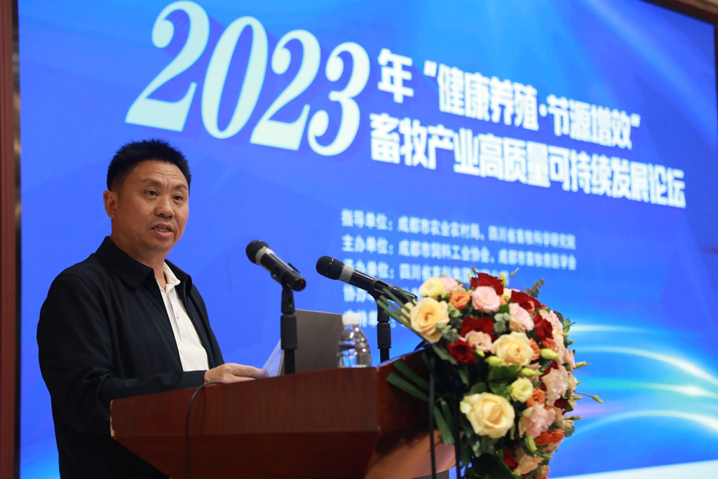 news07.jpg news07.jpg